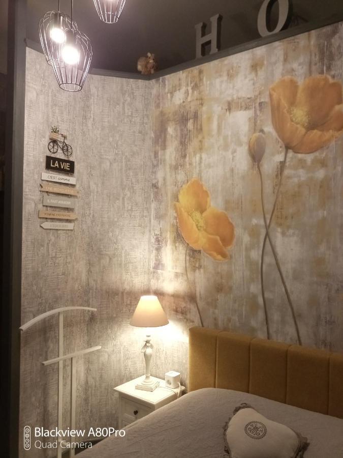 Studio Malou, Cuisine, Salle D'Eau, Terrasse Amenagee Olliergues Экстерьер фото